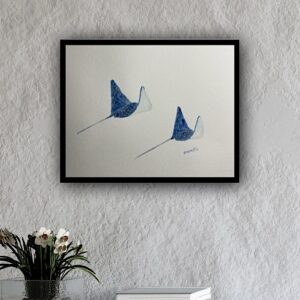 Sting Rays