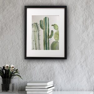 Cactuses