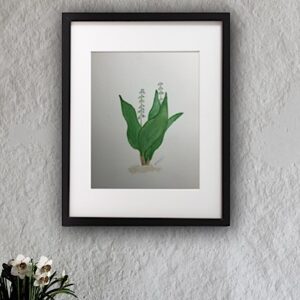 Lilly of the Valley
