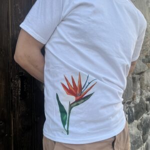 Bird of Paradise