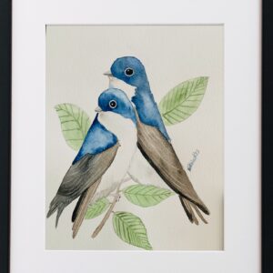 Two Blue Birds