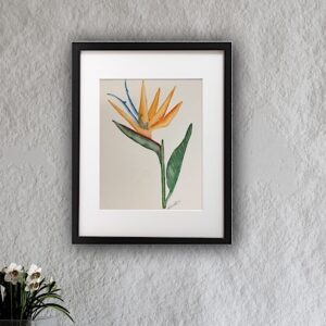 Bird of Paradise